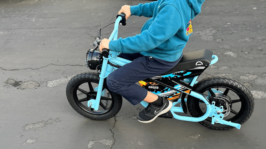 Droyd Weeler Electric Mini Bike review