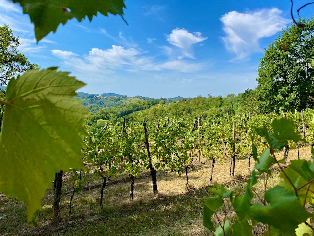 Goriska Brda, Slovenia