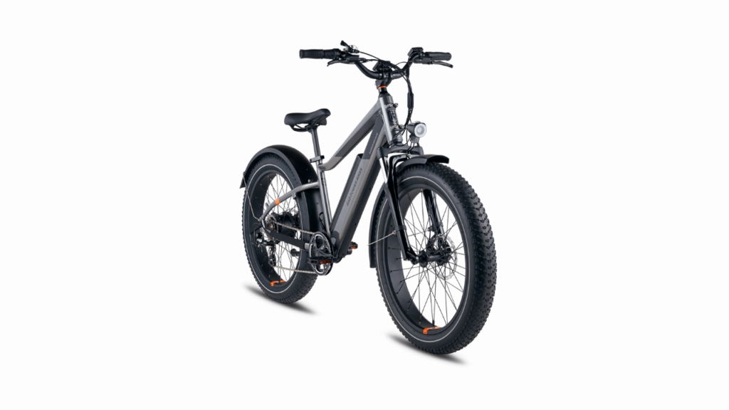 RadRover 6 Plus Electric Fat Tire Bike