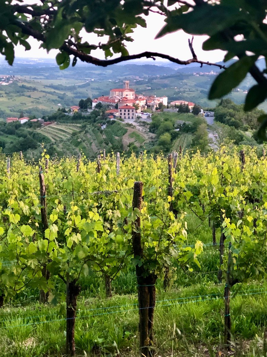 Šmartno, Goriška Brda