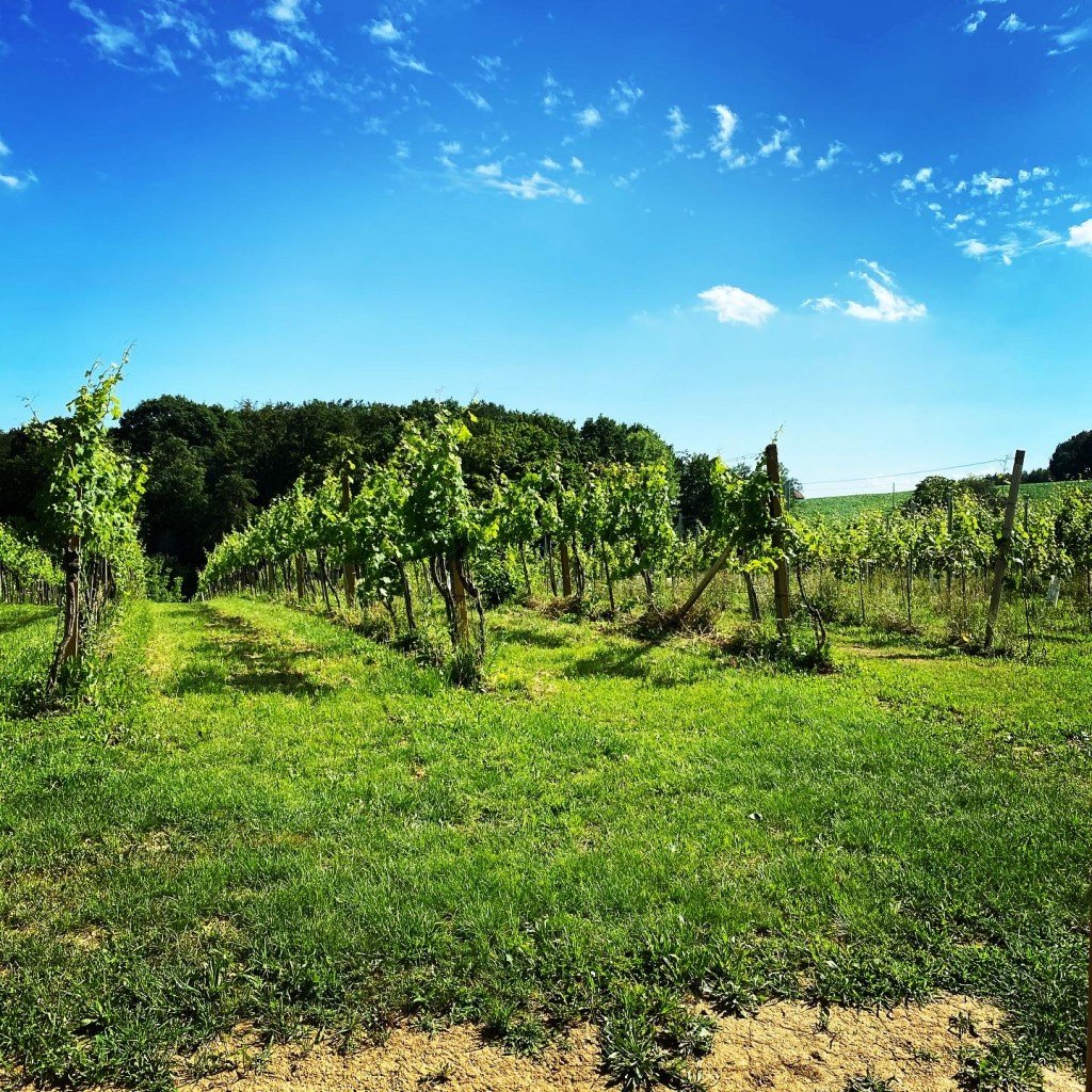 View from my bedroom Smile