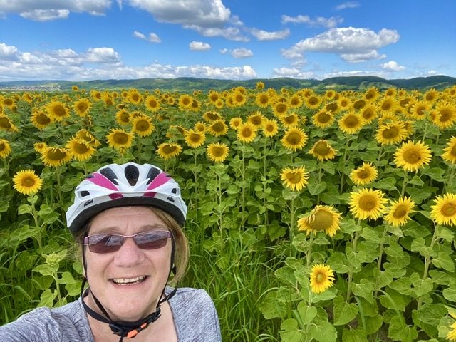 Purbach am Neusiedlersee