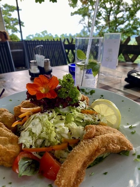 Backhendl salat food Smile